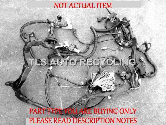 2000 Toyota RAV 4 Engine Wire Harness