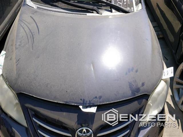 2010 Toyota Corolla Hood