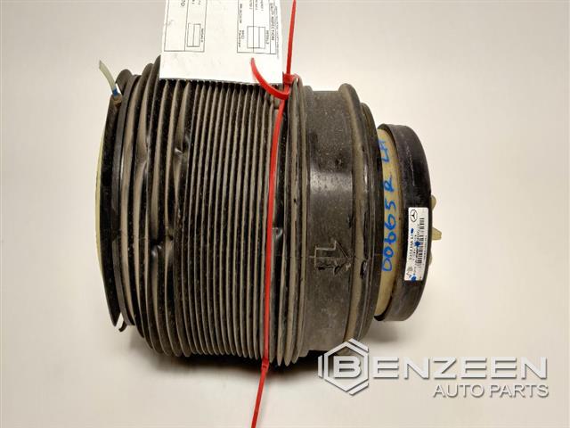 2012 Mercedes-Benz CLS550 Coil / Air Spring (Left)