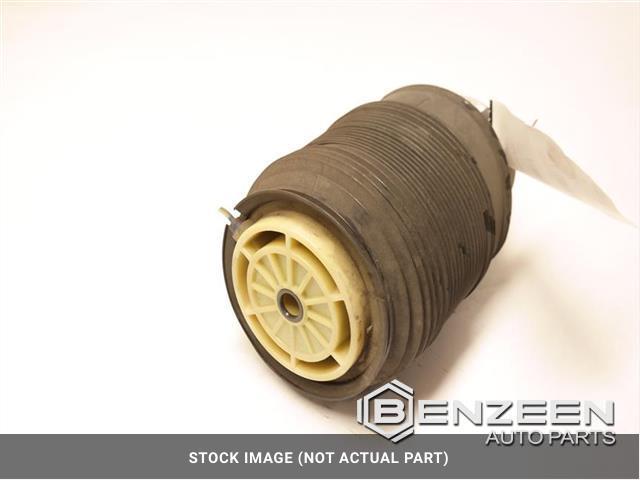 2012 Mercedes-Benz CLS550 Coil / Air Spring (Left)